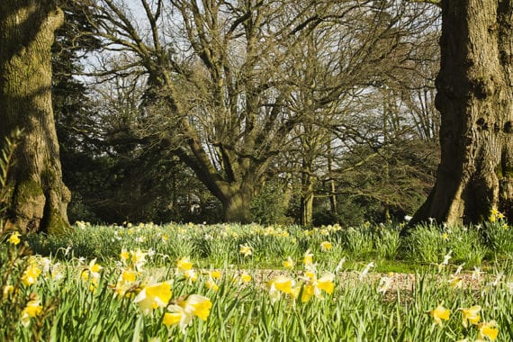 Outdoor wedding venue Norfolk
