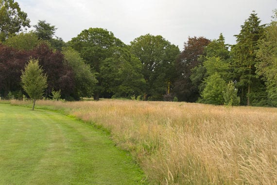 Outdoor wedding venue Norfolk