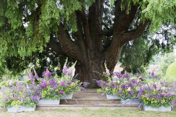 Small Weddings in Norfolk